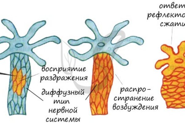 Кракен личный кабинет