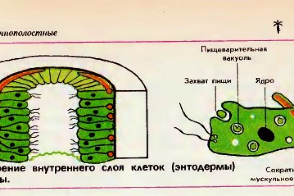 Кракен портал